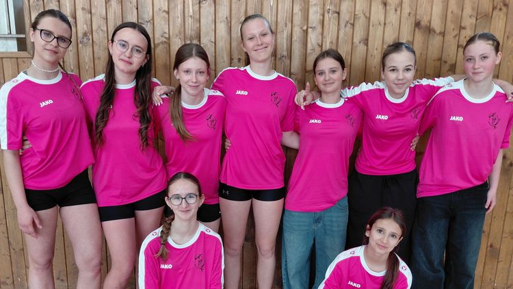 Turnaj pod vysokou sítí - cover