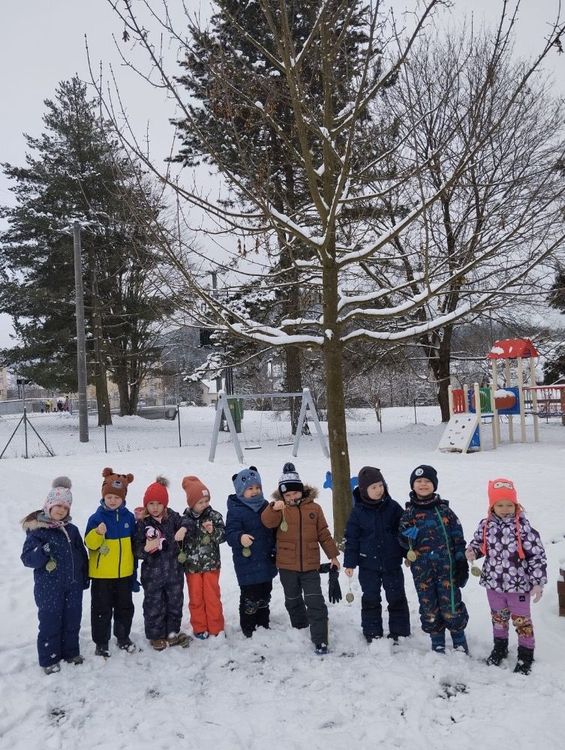 Krmení pro ptáčky - Berušky - cover