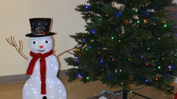 Vánoční zpívání na schodech - cover