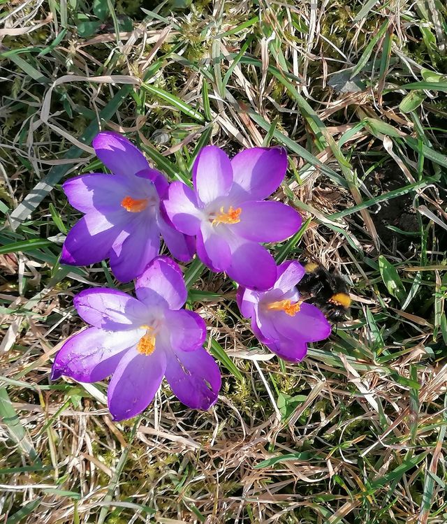 Už jsme zase venku, 2. třída - cover