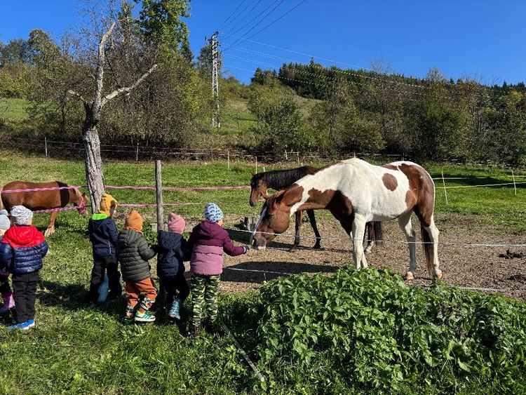 RANČ NA PALUCHU - BERUŠKY - cover